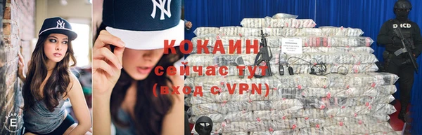 прущие грибы Абдулино